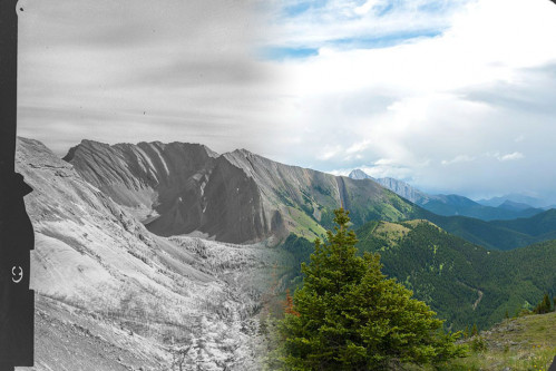 Composite of the repeate photography project.