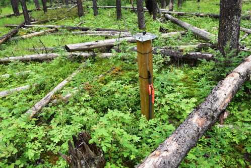 Device for measuring the water table at a site near Robb