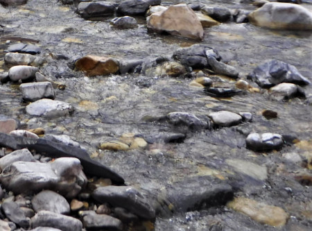 Shallow rocky stream