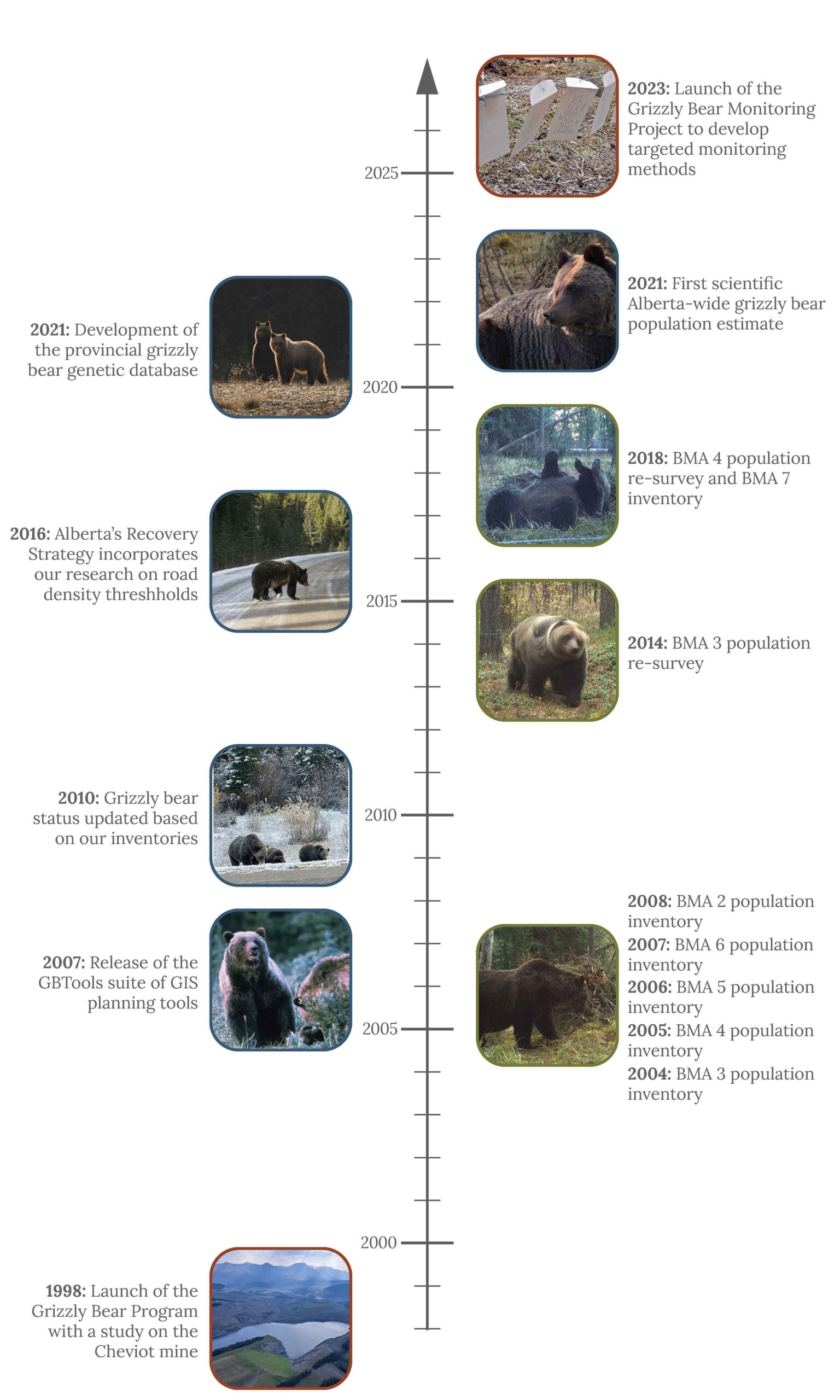 timeline of grizzly bear program activities