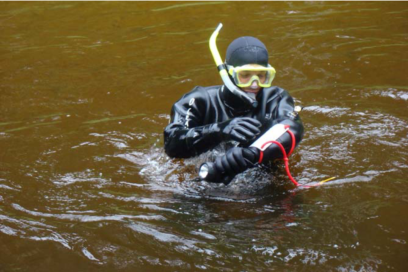 snorkeler in a river