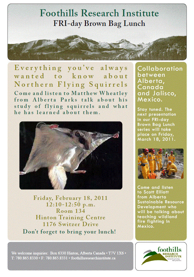 flyer for a flying squirrel talk. download pdf for full text