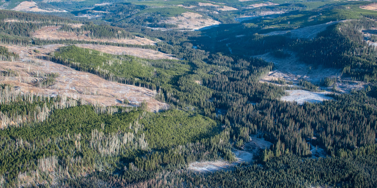 Distribution of DNA hair snag sites in Alberta, Canada by each