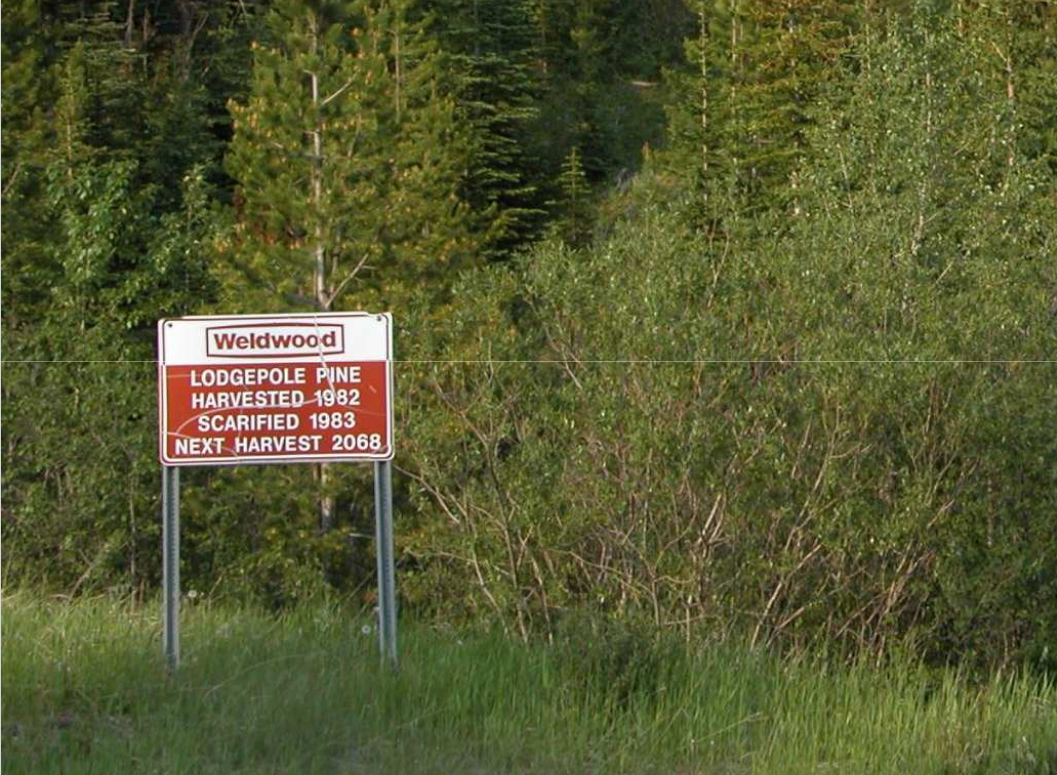 Sign marking past and planned harvests in Weldwood's FMA