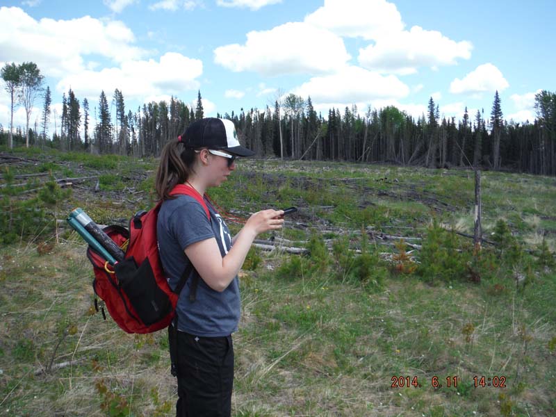 field tech with backpack and gps unit stands on an open hillside with pine in the background