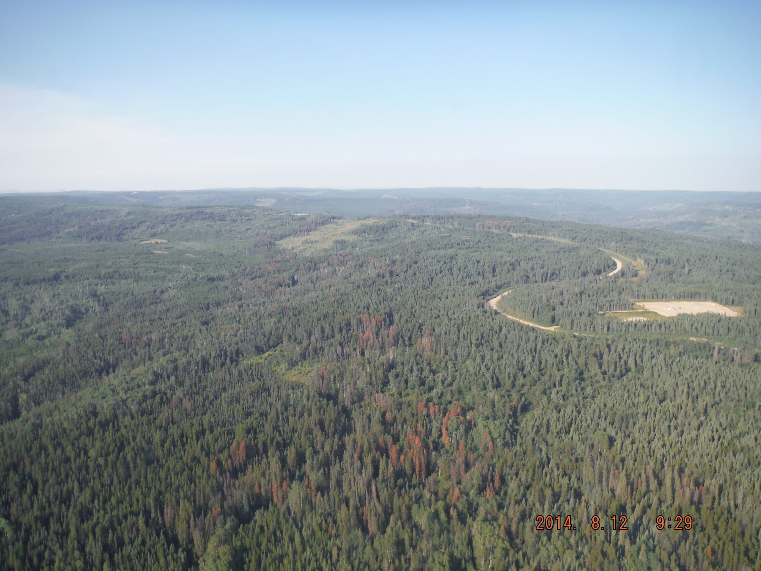 aerial photo of conifer forest with a river snaking around. some trees are red indicating mpb attack