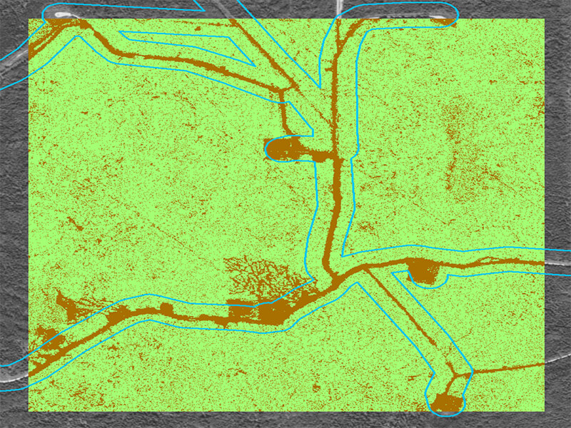 False-colour lidar image of a forest with linear features clearly visible