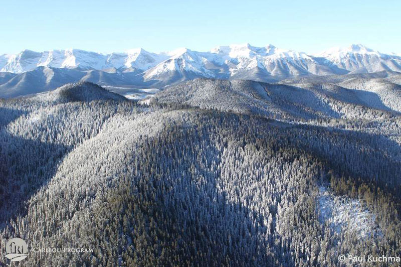 aerial photo of snowy hills and mountains