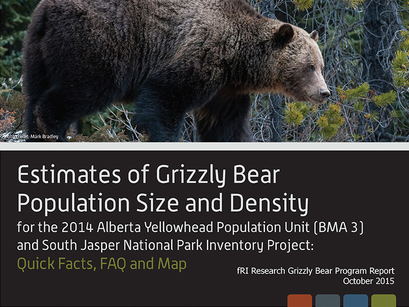 estimates of grizzly bear population size and density