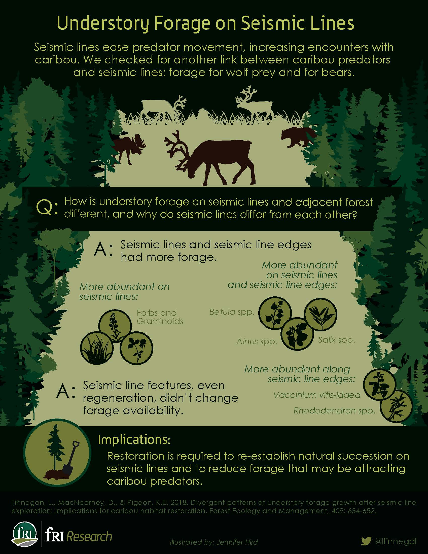 understory forage on seismic lines graphical abstract. download pdf for full text