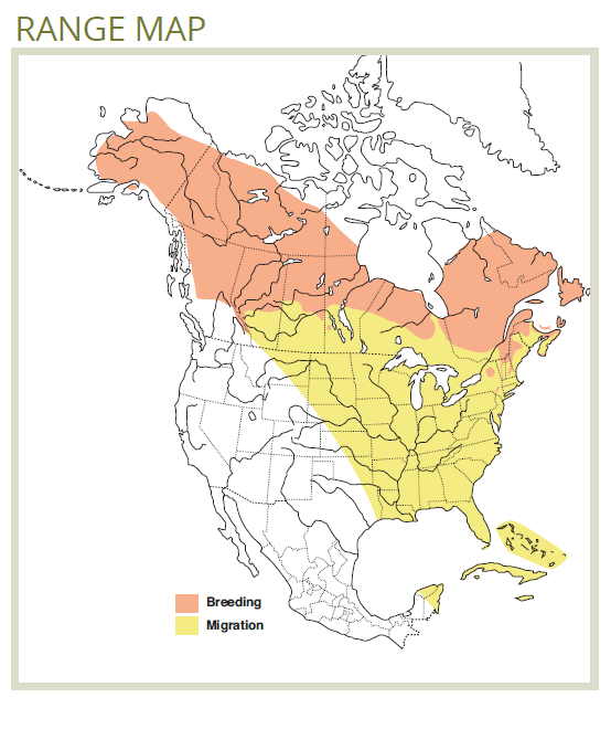 range map of blackpoll warbler