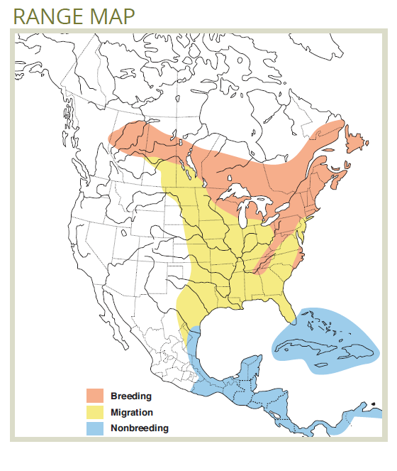 range map of green warbler