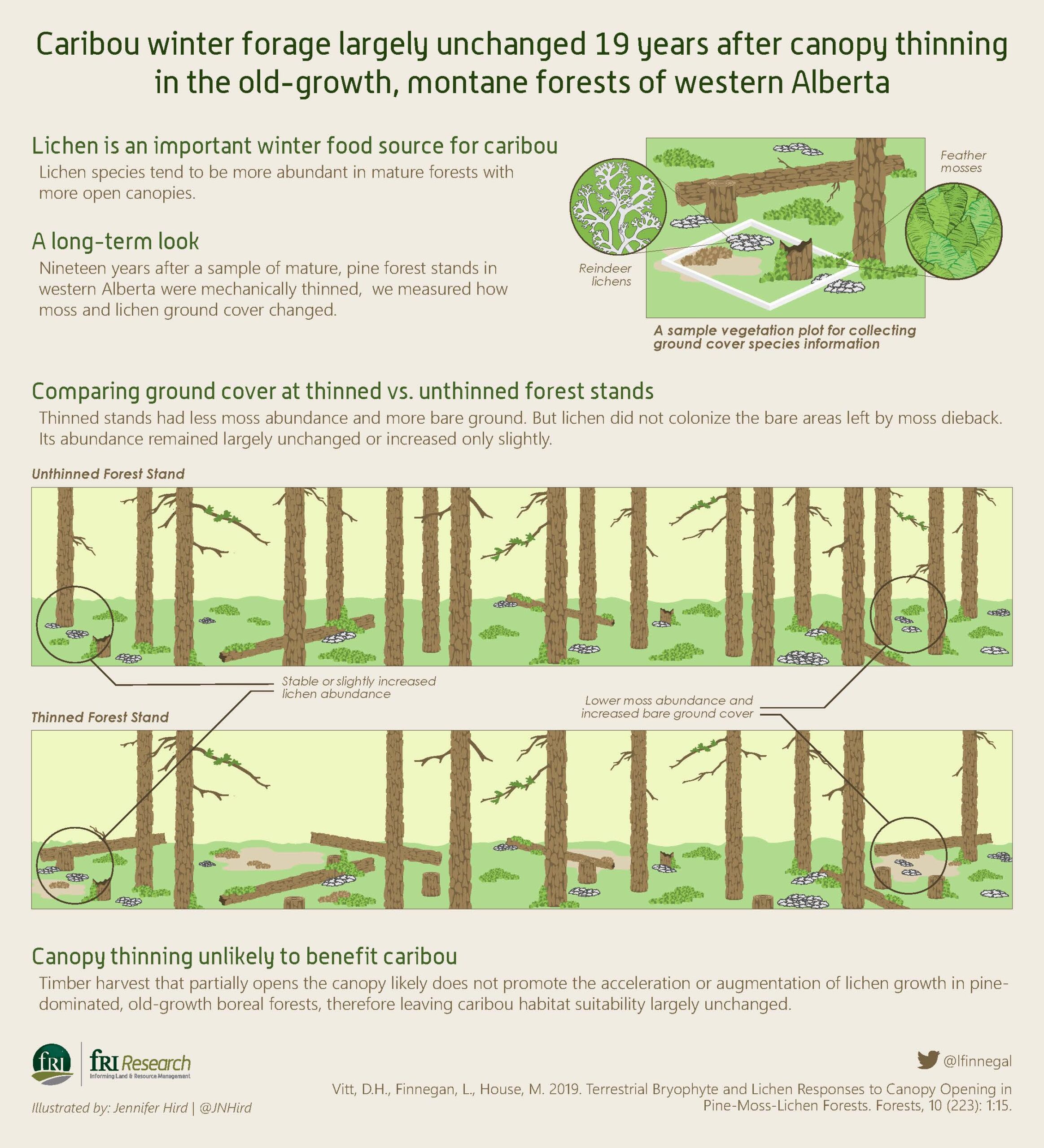 caribou forage after thinning graphical abstract. download pdf for full text