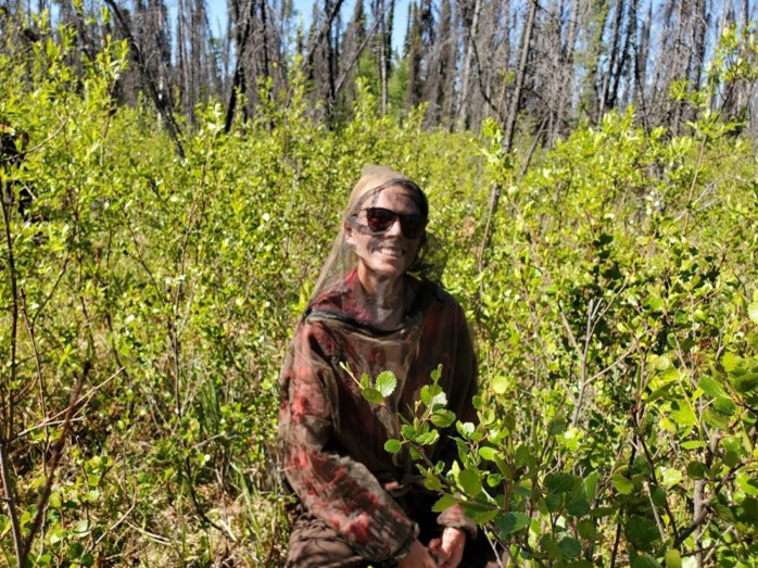 Field technician sitting in the grass in a bug jacket