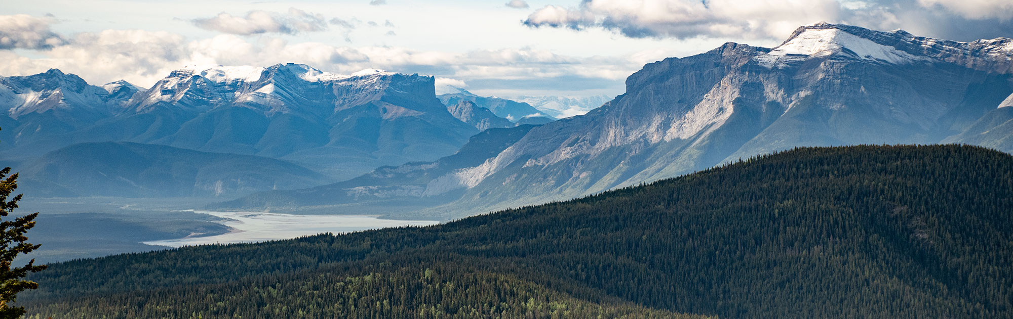 landscape at the west end of jasper national park.