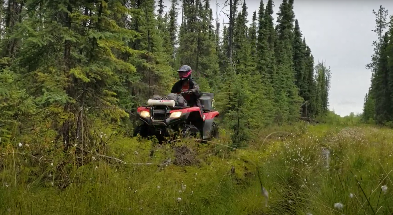 quad driver in heavy bush