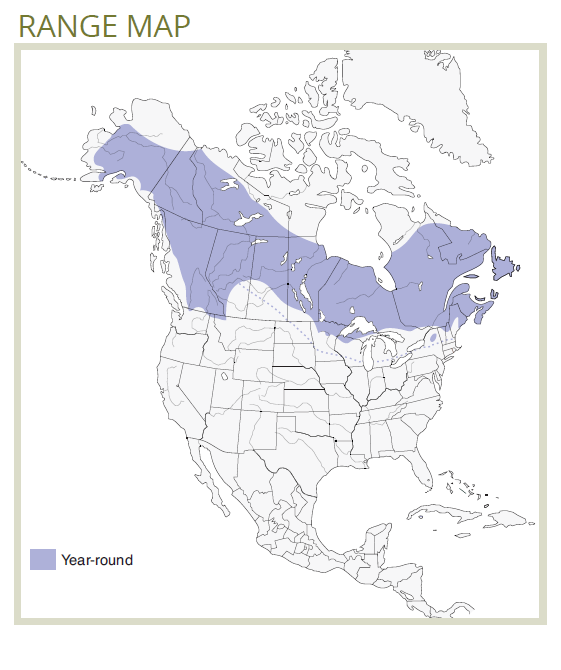 range map for boreal chikadee