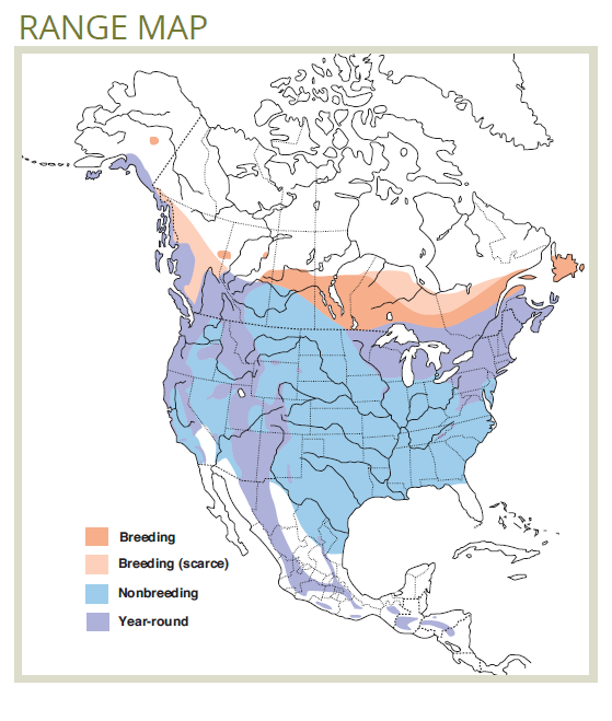 range map for brown creeper