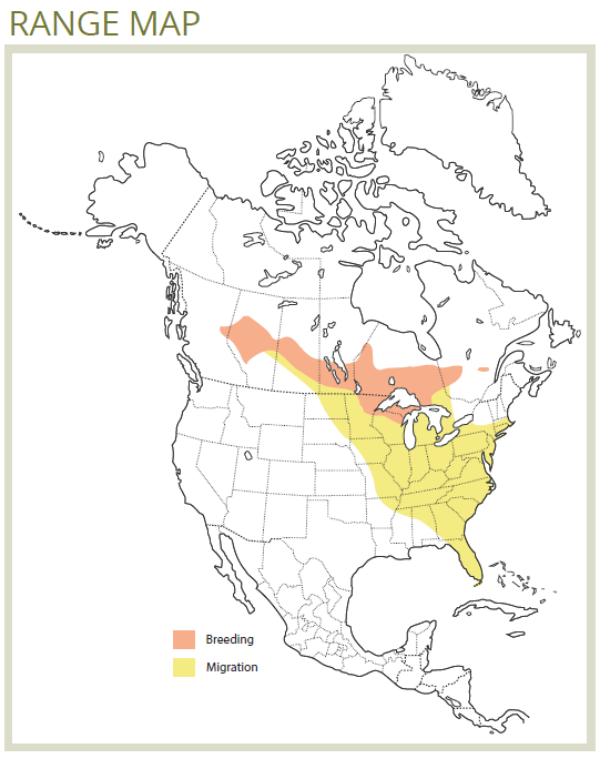 range map of the Connecticut warbler