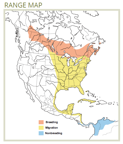 range map for bay-breasted warbler