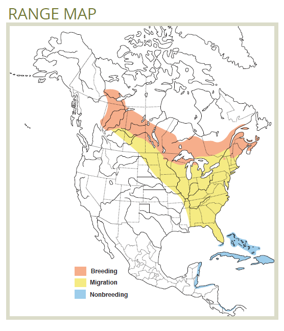 range map for cape may warbler
