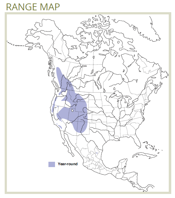 range map of clark's nutcracker