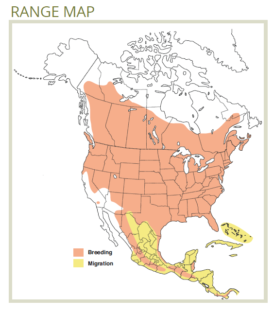 range map of the common nighthawk