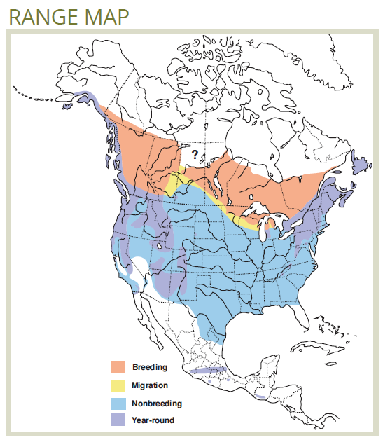 range map of golden-crowned kinglet