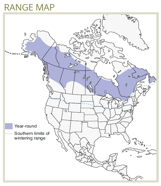 range map of northern hawk owl
