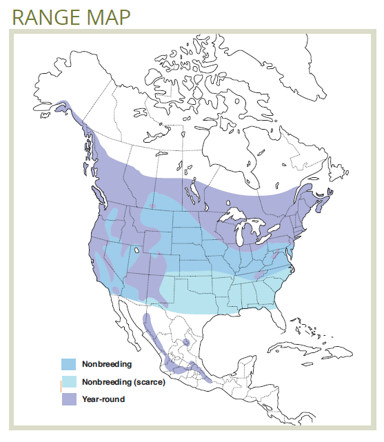 range map of northern saw-whet owl