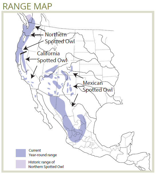 range map for northern spotted owl