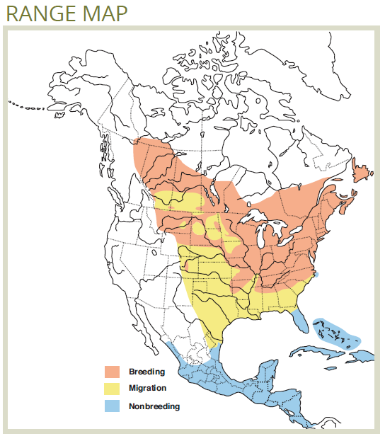 range map of ovenbird