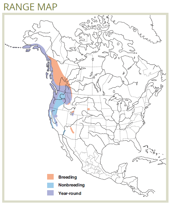 range map of pacific wren