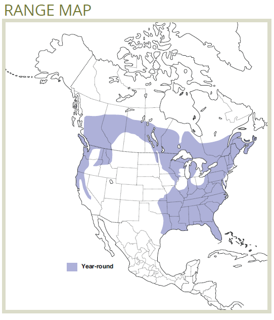 range map of pileated woodpecker