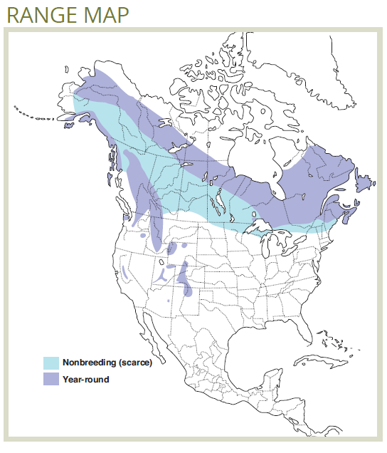 range map of pine grosbeak