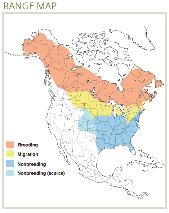 range map for rusty blackbird