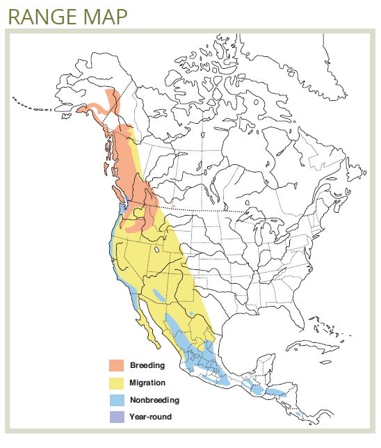 range map of townsend's warbler