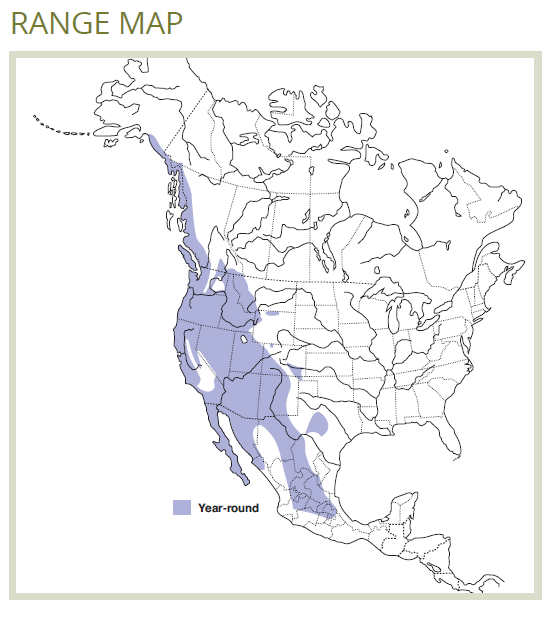 range map of western screech-owl