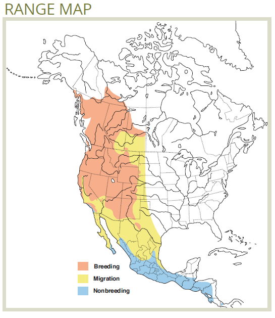 range map of western tanager