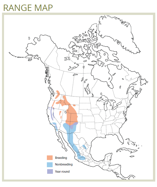 range map of williamson's sapsucker