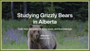 Story Map: Studying Grizzly Bears in Alberta