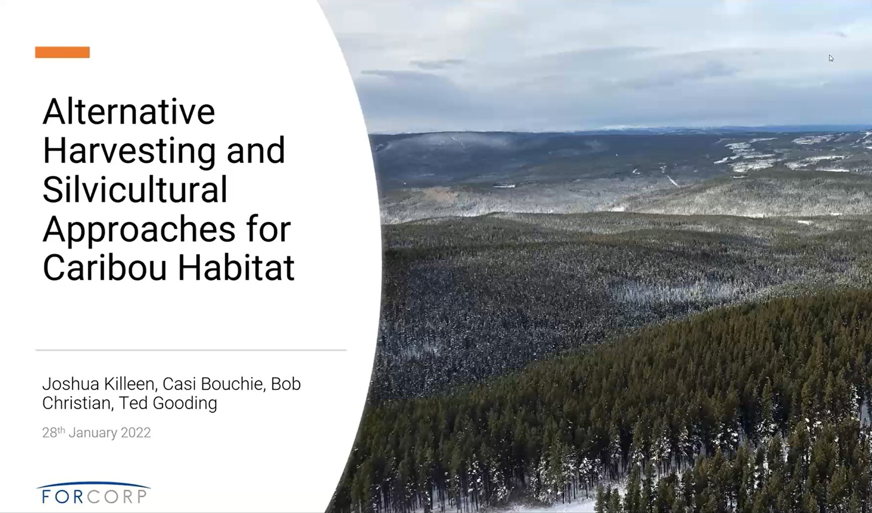 Alternate harvesting and silviculture approaches for promoting caribou habitat | Webinar #2