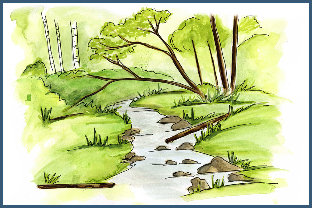 watercolour of a stream in a forest