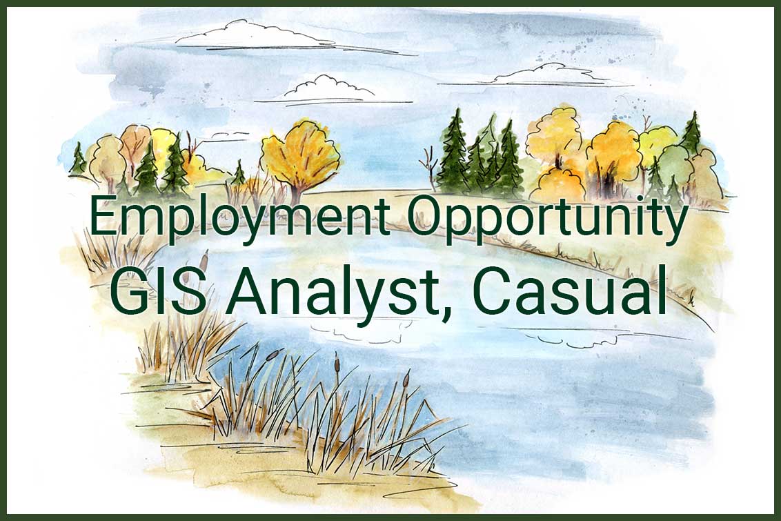 Employment opportunity gis analyst casual