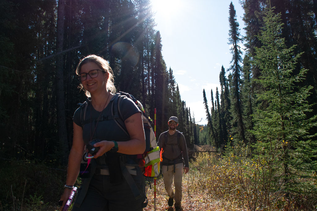 Two field techs smiling and walking down an old seismic line in fall