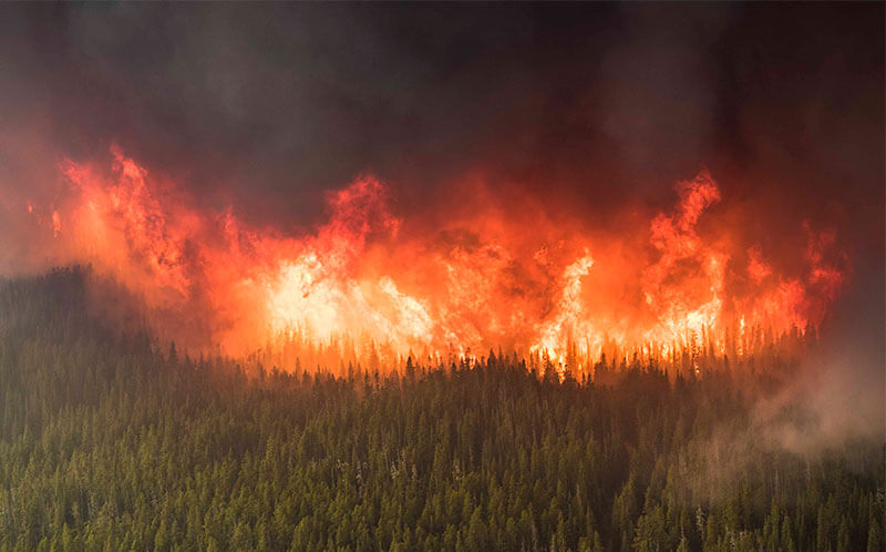 Looking back on the Kenow Wildfire: Reflections from a Parks Canada Scientist