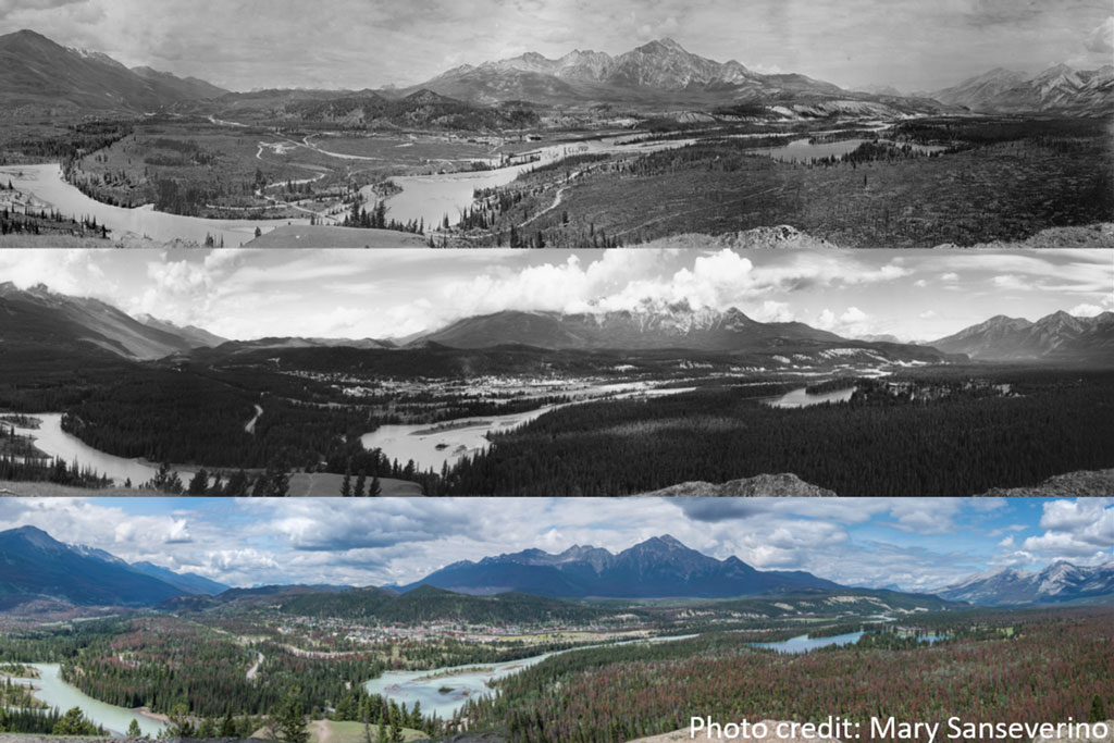 repeat photography of jasper national park from 1915, 1998, 2019