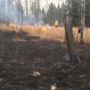 Burning Territory: Indigenous Fire Stewardship