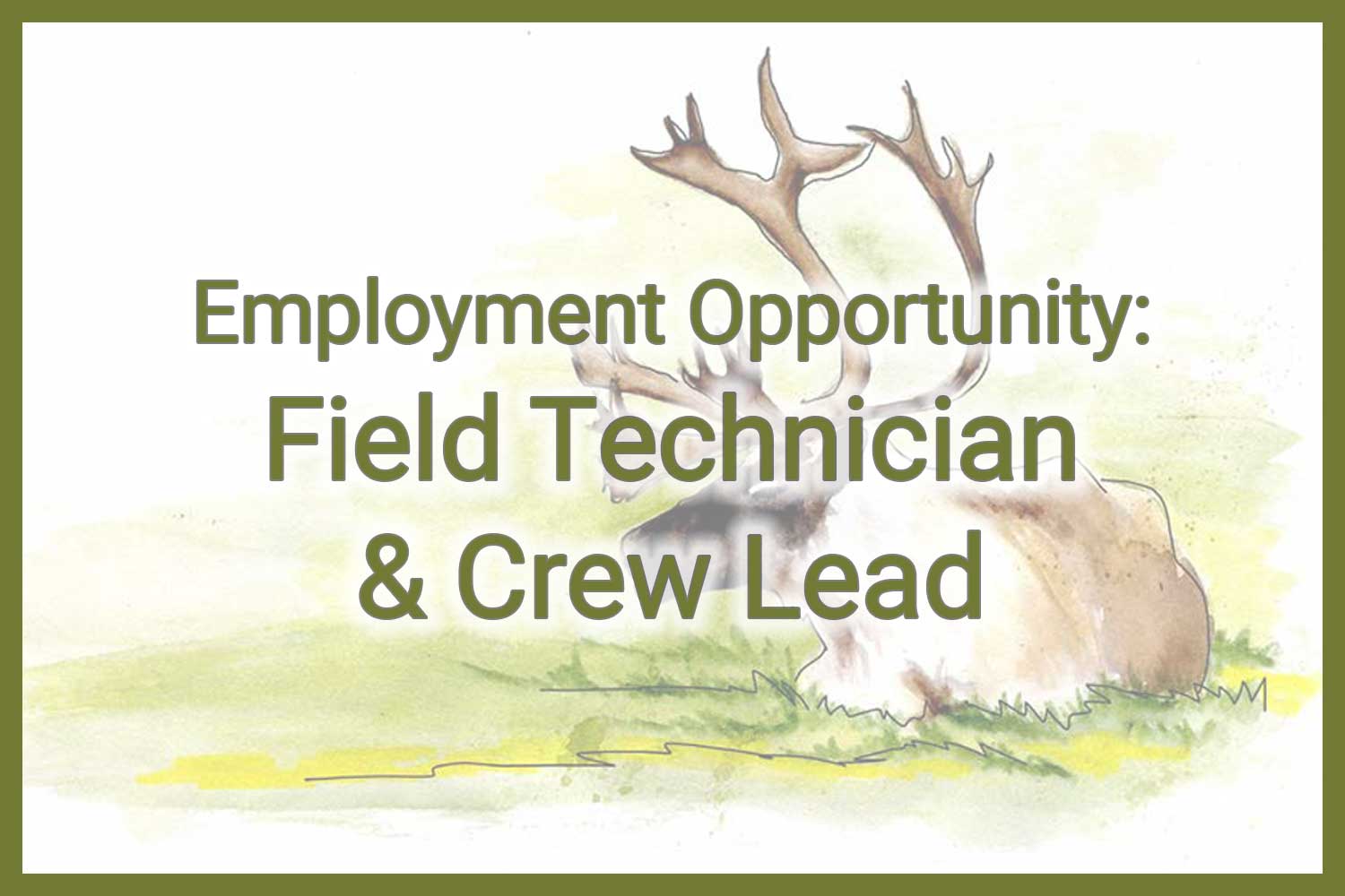 employment opportunity field technician and crew lead