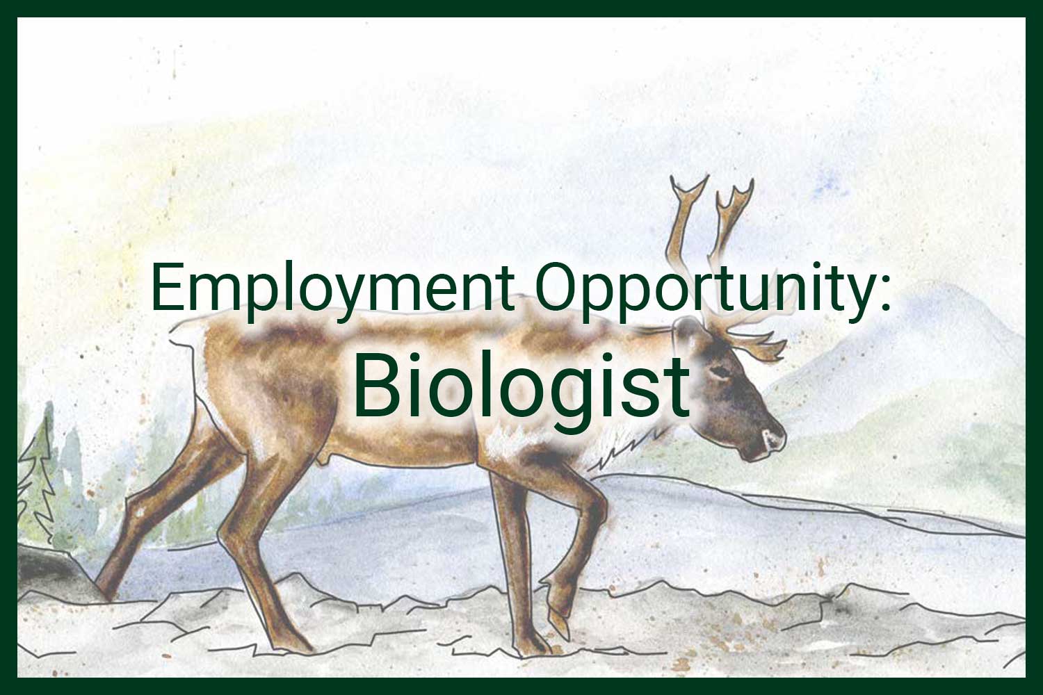 employment opportunity biologist. image of a caribou